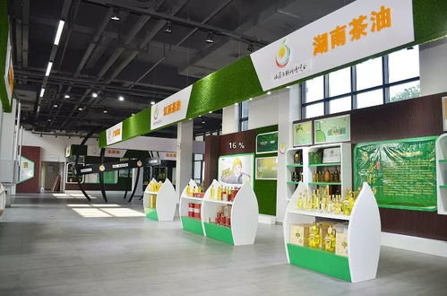 邵陽新增AAA級景區名單公示，趁秋高氣爽，來一場技術與自然的融合之旅